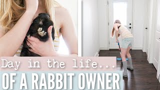 DAY IN THE LIFE  As a Rabbit Owner