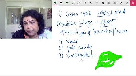 Cytoplasmic inheritance and petite mutant in mitochondria