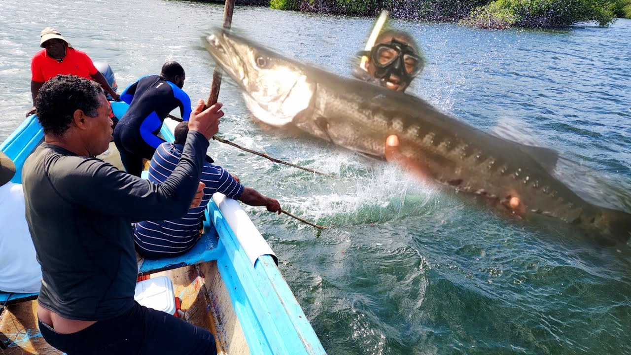 удалённое место для подводной охоты в заливе Вест-Харбор, гигантская барракуда, побеждающая ловлю...