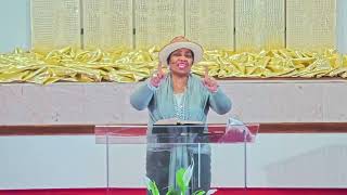 New and Not Yet New - Dr. Carol E. Dixon screenshot 1