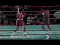 Wow what a knockout  daniel zaragoza vs carlos zarate full highlights