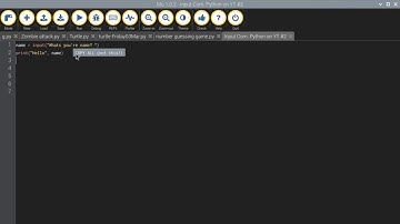 Learning Python #2. The input command
