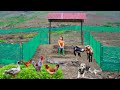 Building a new life episode 24 | Complete garden gate for my big farm | Live with nature
