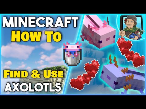 How to FIND and USE an AXOLOTL - Minecraft 1.17+ (Easy Tutorial)