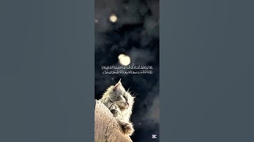 { يكاد البرق يخطف أبصارهم كلما أضاء لهم مشوا فيه و إذا أظلم عليهم قاموا }    سورة البقرة