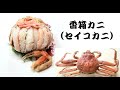 【香箱蟹】セイコガニの蒸し方　茹でるのと蒸すのとの違い　How to prepare snow crab