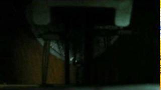 oDo 368.MP4