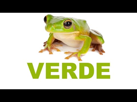 VERDE, aprende los colores, canción de colores, video de colores