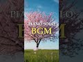 Relaxing Piano Music | Piano Solo BGM  | cozy coffee shop vibe | for Working, 🎹☕ #relaxingpiano