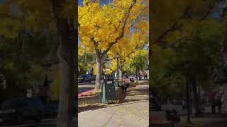 estes park colorado