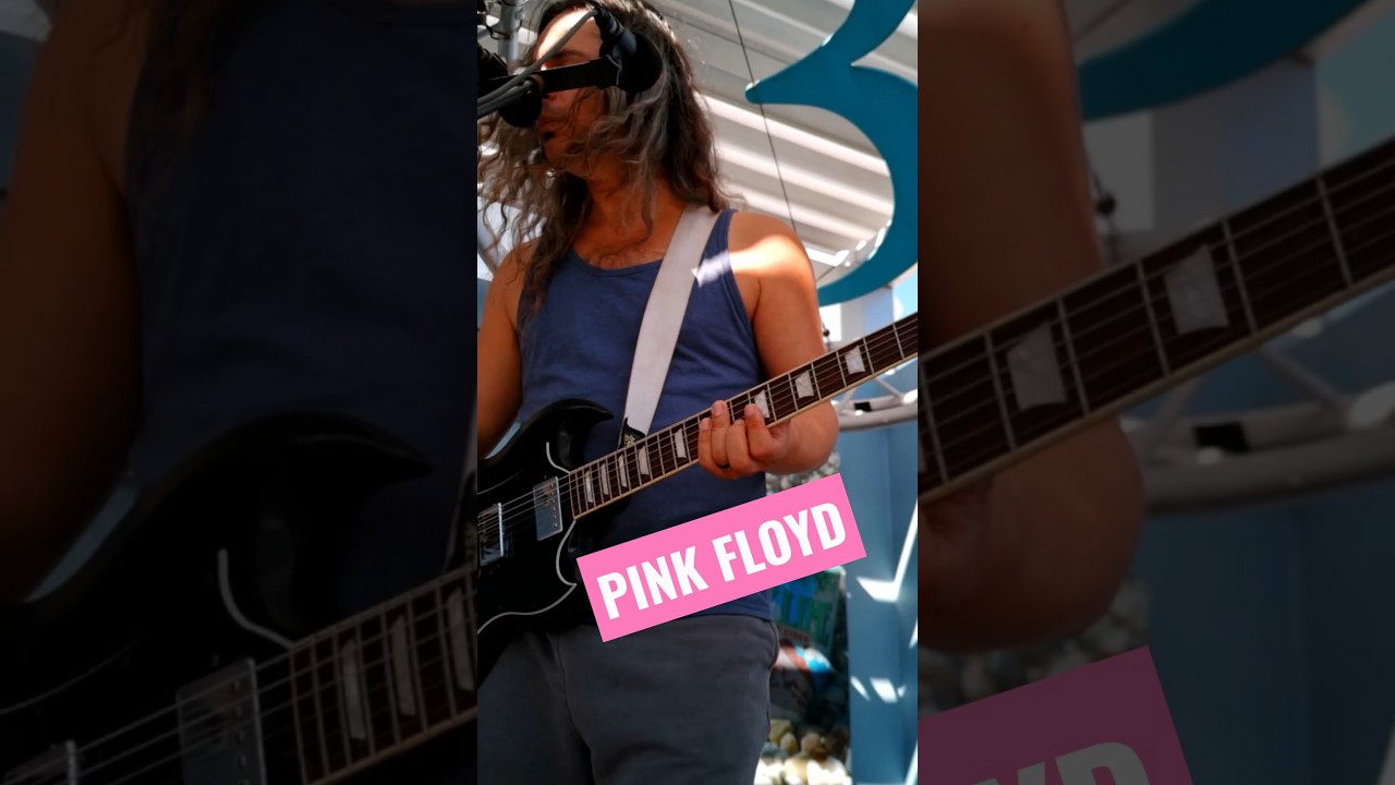 Which is Which | Pink Floyd #OBSCURE