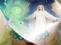video icon