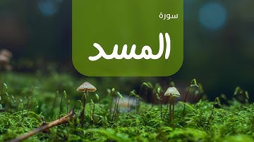 محمد عزيز - سورة المسدMohammad Aziz _ Surah Al_Masad