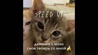 девочка с моих снов теперь со мной))