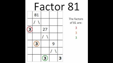 Factor A 81