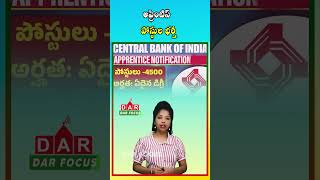 Central Bank of India Announces 4500 Apprentice Vacancies | Apply Now | Latest updates | DAR FOCUS