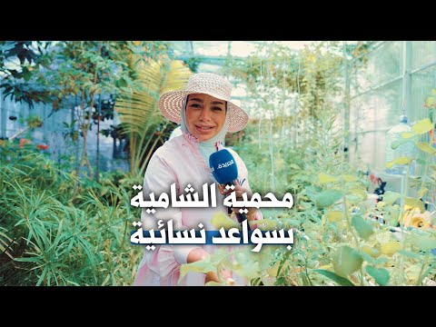 محمية الشامية بسواعد نسائية