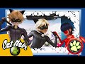 Cat Noir from Miraculous Ladybug 2 minute toothbrushing timer