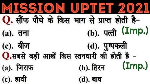 UPTET 2021 || Junior Super TET EVS Most Important Questions || Super TET