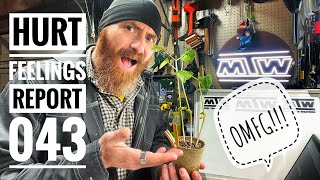 Hurt Feelings Report Episode 043 - He s trying to get you killed