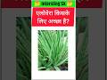 Top 20 GK IAS questions । #gkquiz #gk #facts #gkinhindi #shorts