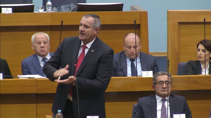 RASPRAVA: Radovan Višković i Miladin Stanić: Vi niste Vlada ni reda ni rada (BN Televizija 2019)