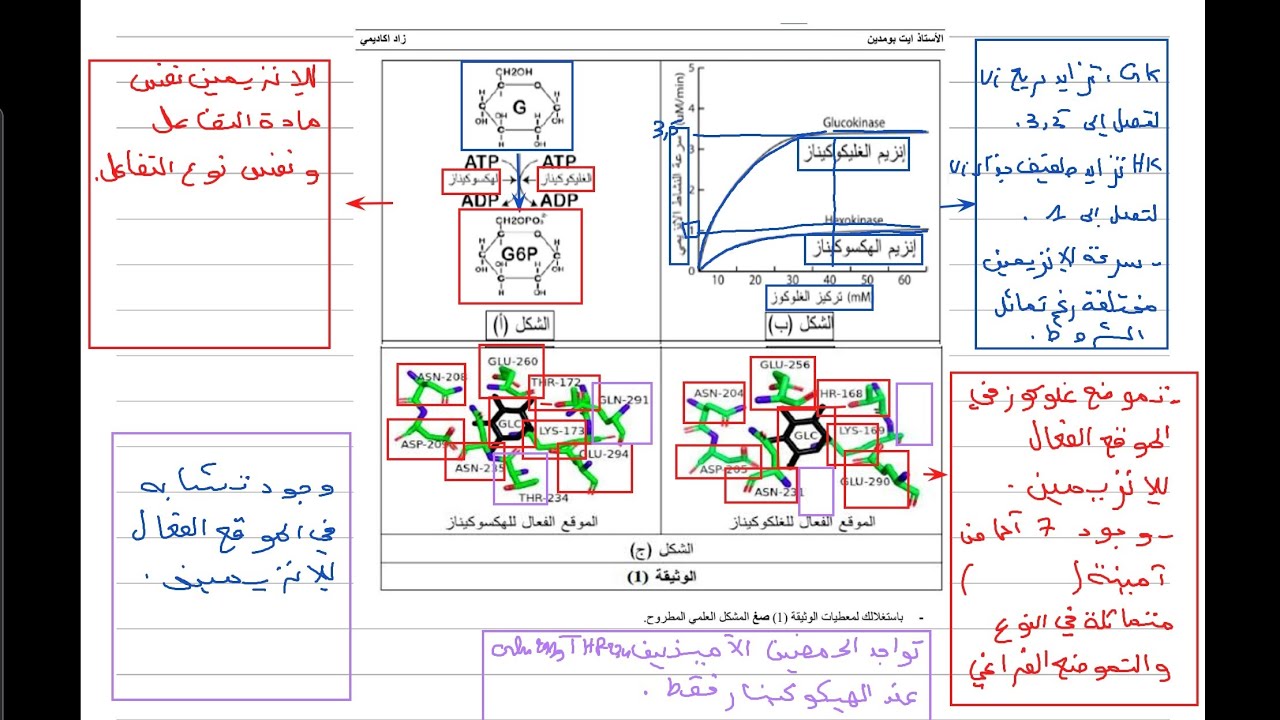 الانزيمات باك 2025 ( المواد المثبطة + تمرين نموذجي )