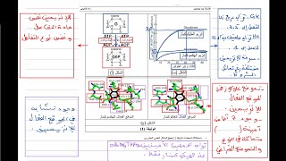 الانزيمات باك 2025 ( المواد المثبطة + تمرين نموذجي )