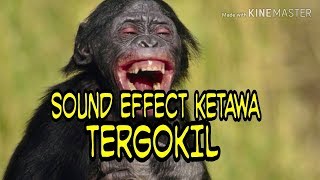 Download Mp3 SOUND EFFECT KETAWA TERGOKIL Gudang lagu Download Mp3 SOUND EFFECT KETAWA TERGOKIL