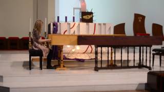 Neža Mandelc Glasbeno Tekmovanje Nova Gorica Svirel 2017