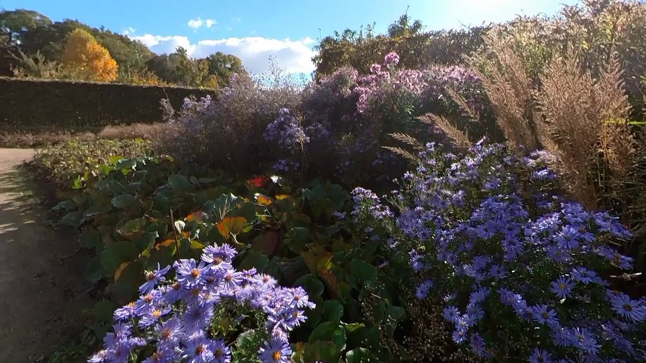 Fall in Altona Volkspark, Hamburg #dahliagarden #volkspark #hamburg