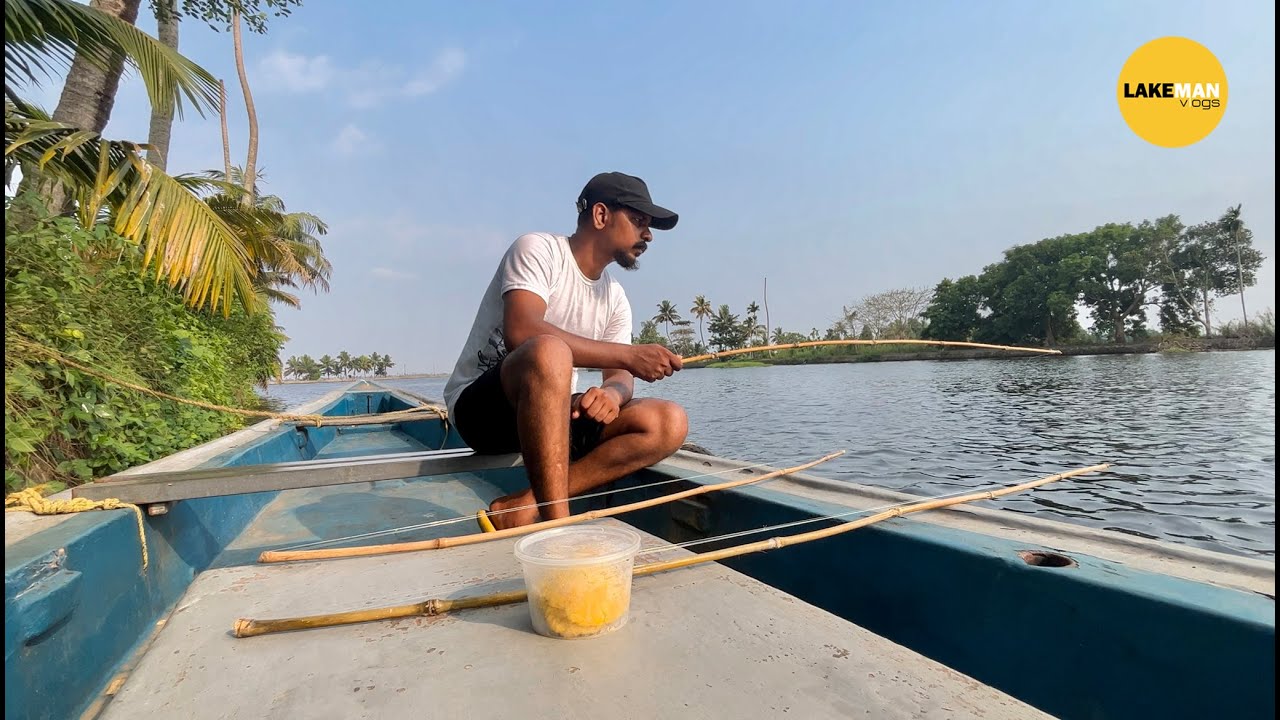 കുട്ടനാട്ടിൽ Bamboo Stick ആണ് കരിമീൻ പിടിക്കാൻ എളുപ്പം   I Fishing I Village Fishing #fishing