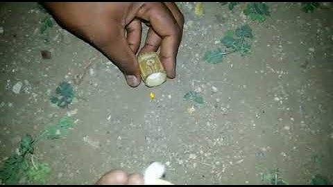 Amazing Nag Mani(snake pearl) Video