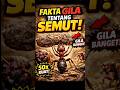 Fakta Unik Semut yang Jarang Diketahui!