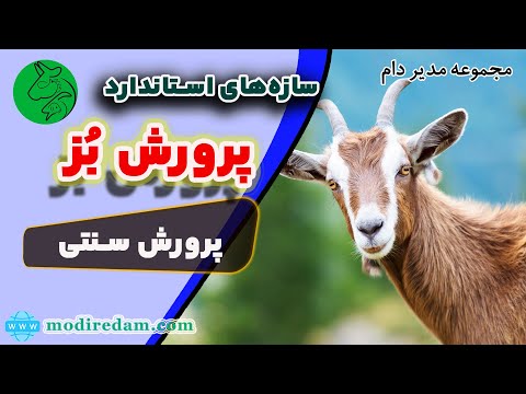 پرورش بز به روش سنتی مشاوره در واتساپ 3211 373 0919