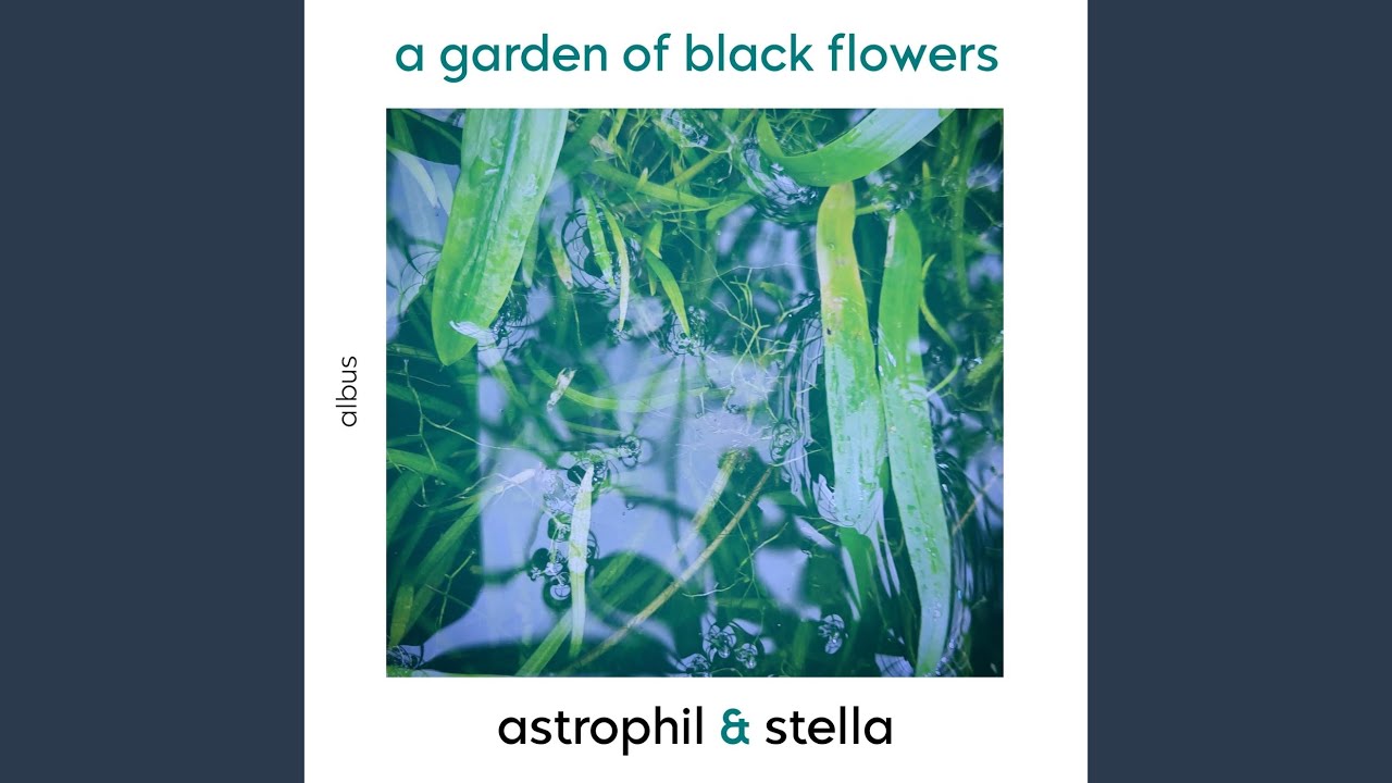 Obejrzyj Aura soave w YouTube Obejrzyj Aura soave w YouTube