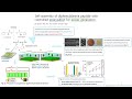 Present about a Biomaterial research - Diphenylalanine Peptide for Power Generation