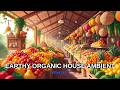 Best Earthy Ambient Mix for Calm and Clarity