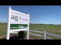 Ag  trials high yield corn plot  flag test