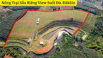 (đã bán) đất view suối đá ĐăkNông, nông trại sầu riêng, chuối, 410m mặt đường