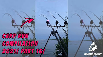 CARP RUN COMPILATION 2021! PART 16!