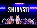 Shinyan   for cat music