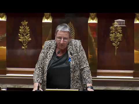 Martine Froger, Députée de l'Ariège
