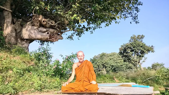 HOW to REACH NIBBĀNA & ENLIGHTENMENT STAGES