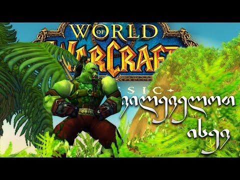 ისევ World of Warcraft Classic-ში | Livestream |