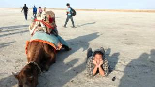 Download Lagu Hey Saala MP3