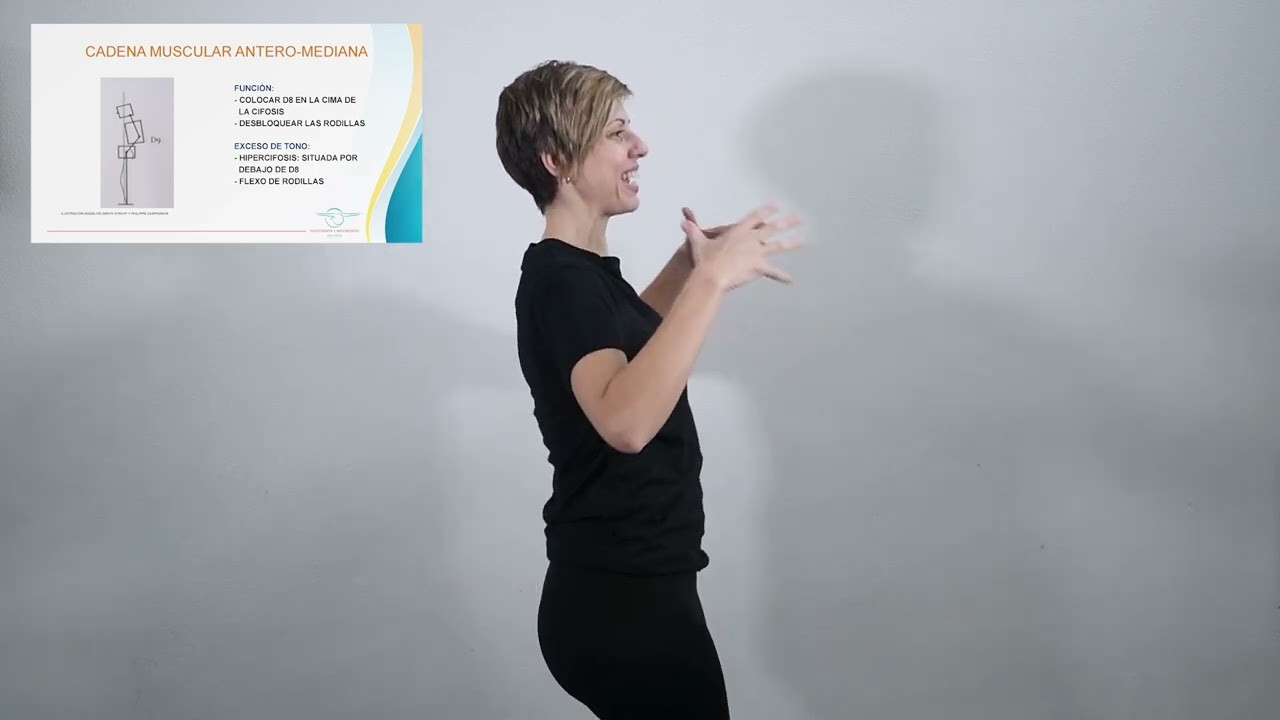 Cadena Muscular AM GDS: postura y personalidad