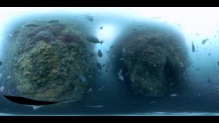 360 - Scuba Diving - Northern Arch