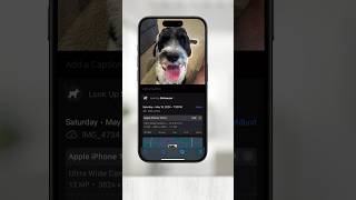 How to add captions to photos on iPhone #iphone #caption #photos #apple