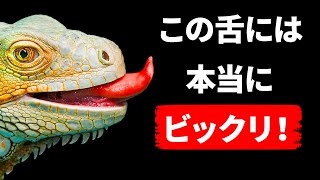 人間にトカゲの舌があったら、鼻は必要ないかもしれない...